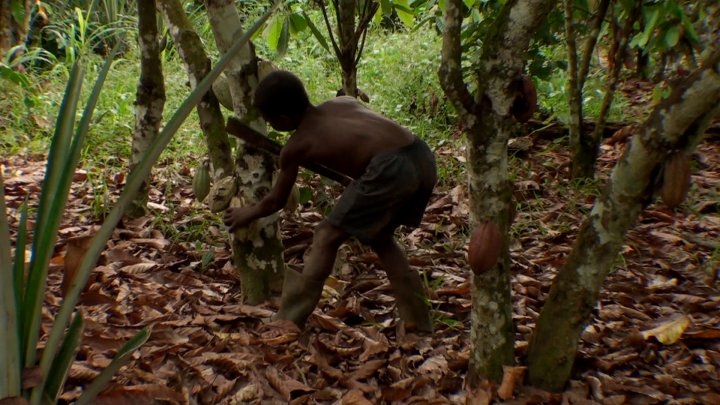 Fair Trade Sweets on Valentine’s Day