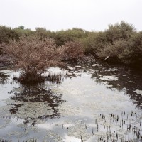coastal-promenade-bahrain-camille-zakharia