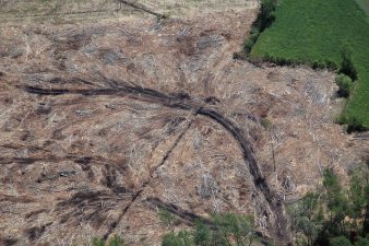 Qatar Plans To Make Barren Land Arable To Increase Food Security