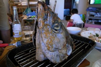 Top 6 “Green” Seafood Choices From Monterey Bay Aquarium