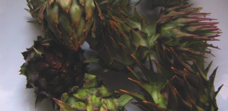 artichokes-GP2.jpg