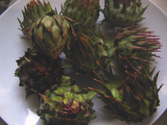 image-artichokes