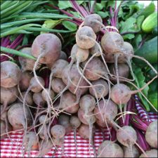 GMO Beets Coming to a Sugar Supply Near You?
