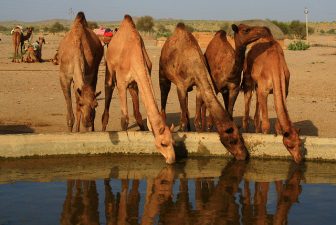 The Water Behind Middle Eastern Woes