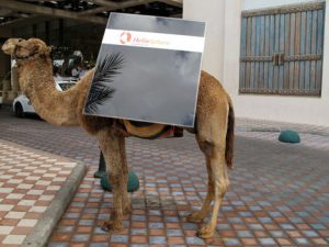 Finance Ministry Freezes Incentives for Large Solar Plants in Israel