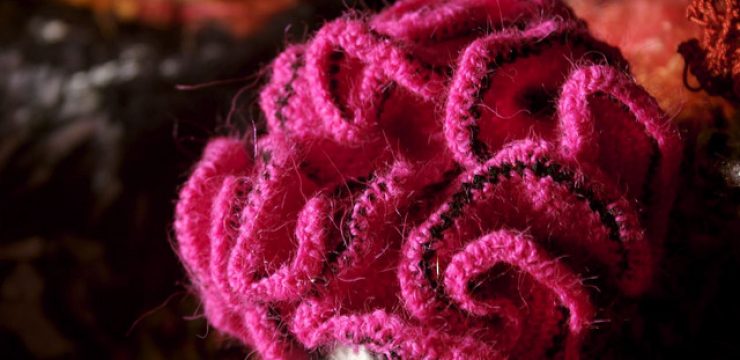 crochetcoral.jpg
