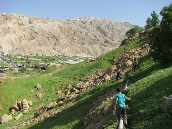 united arab emirates sustainability camp