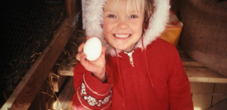 karin-kloosterman-egg-coop.jpg