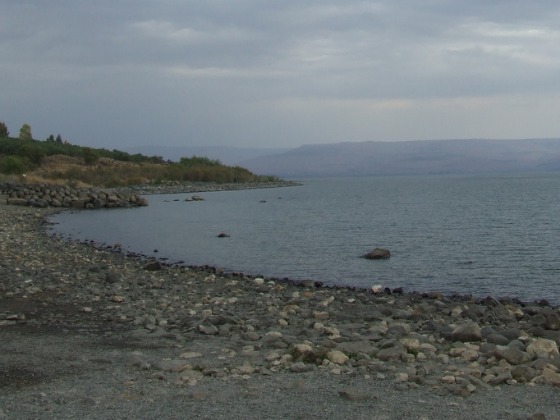 kinneret water shortage