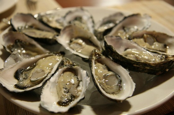 farmed-oysters-sustainable