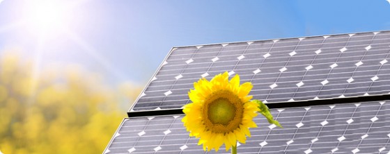 Solaria To Build Solar PV Array at Timna