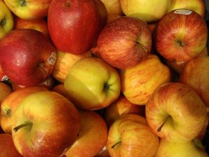 Eco-Sexy Nutrition: An Apple a Day Increases Lifespan by 10%