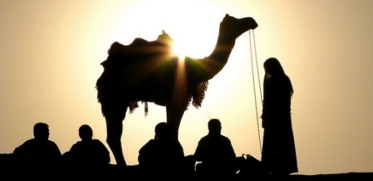 camel-sun-middle-east.jpg