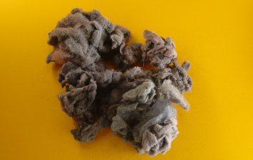 Turn Dryer Lint Into Modelling Clay
