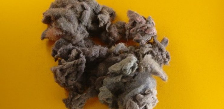 dryer-lint.jpg