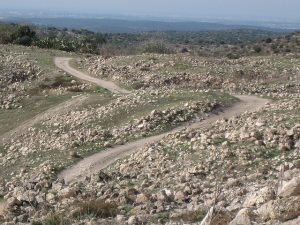 Israeli Black Globe Award Went to IEI for Oil Shale Agenda