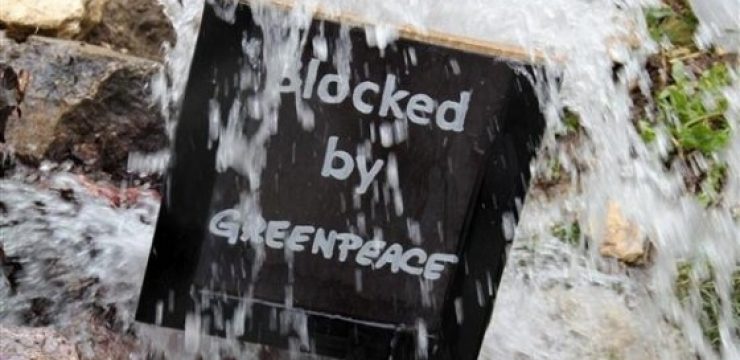 greenpeace.jpg
