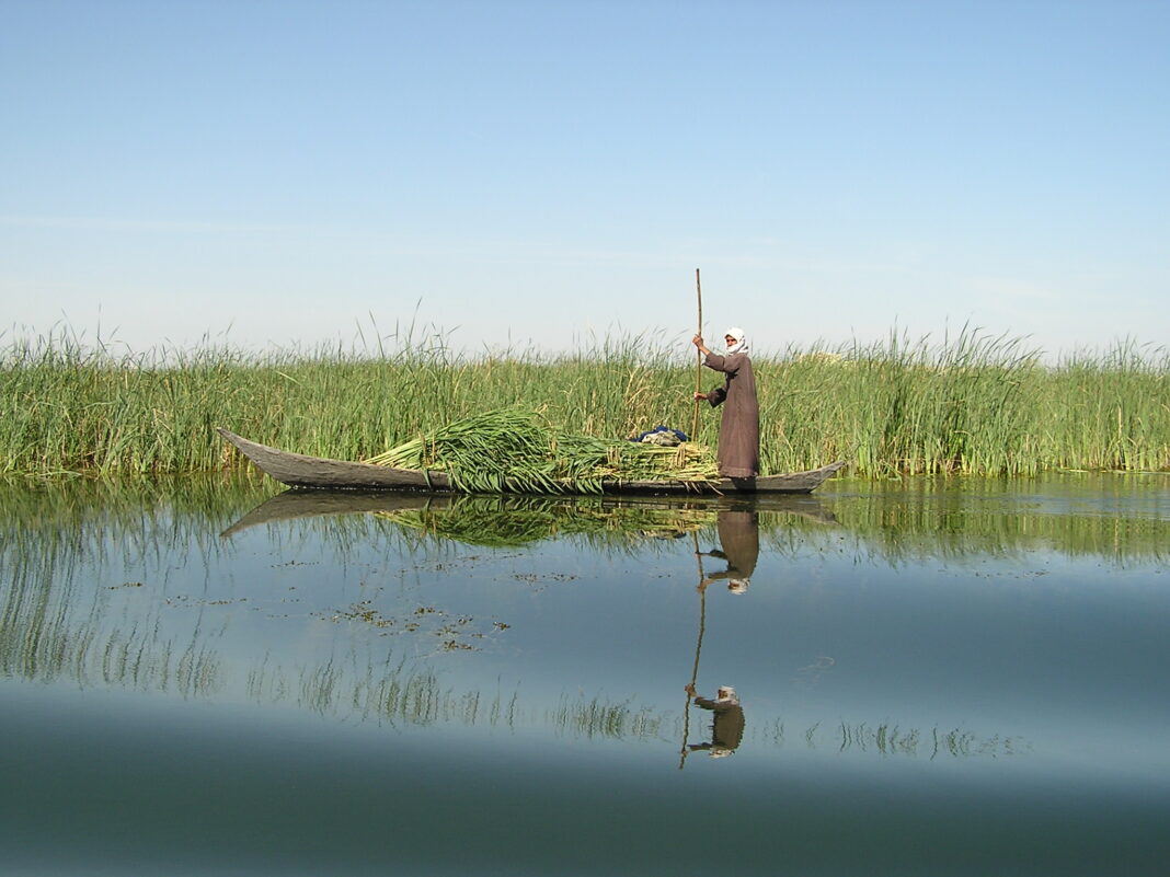 Restoring Iraq’s ‘Garden of Eden’- The Mesopotamian Marshlands