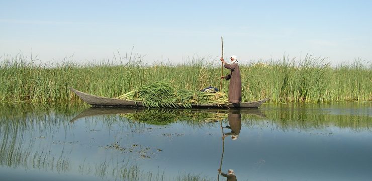 iraq-marshlands.jpg