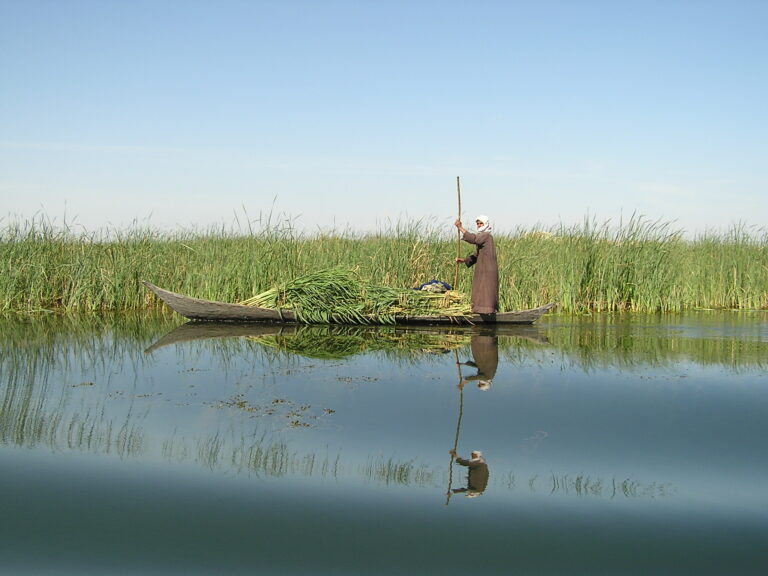 Restoring Iraq’s ‘Garden of Eden’- The Mesopotamian Marshlands