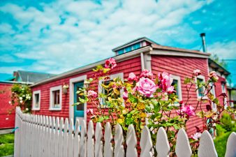 Is Car-Free Living Possible in the Suburbs?