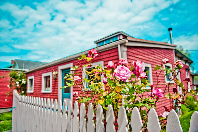 Is Car-Free Living Possible in the Suburbs?