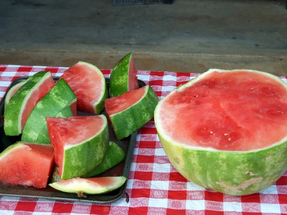 watermelon