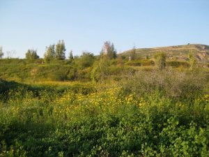 New Eco-Park Opens In Jordan
