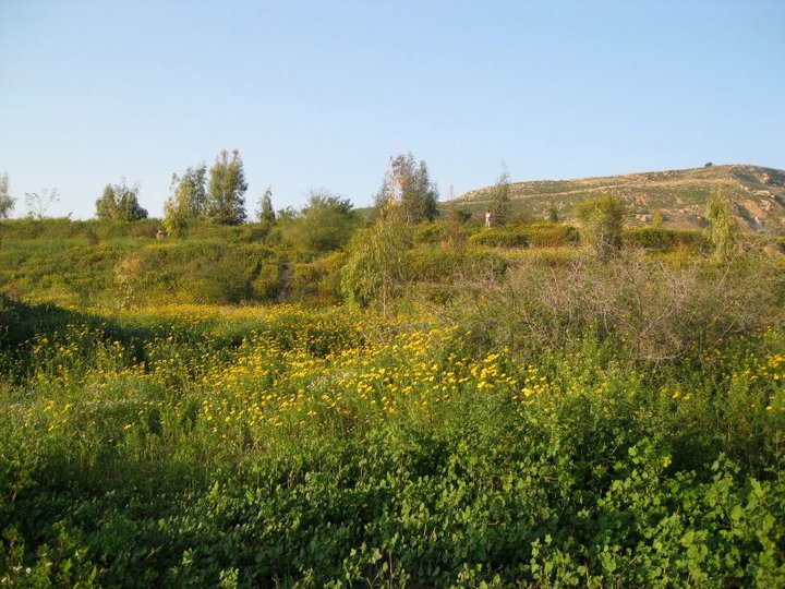 New Eco-Park Opens In Jordan