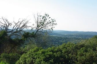 Canadians Fight Tar Sands, Israelis Fight Oil Shale