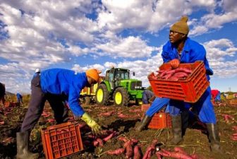 CEO Of Organic Foods Company In Dubai Calls Local Farming “Stupid”