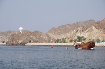 Shark finning in the UAE