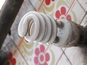 Arab World Revolutions Make Space for Green and Social Activism