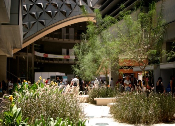 masdar-city-tafline-laylin masdar city, abu dhabi, green building, desert, zero carbon