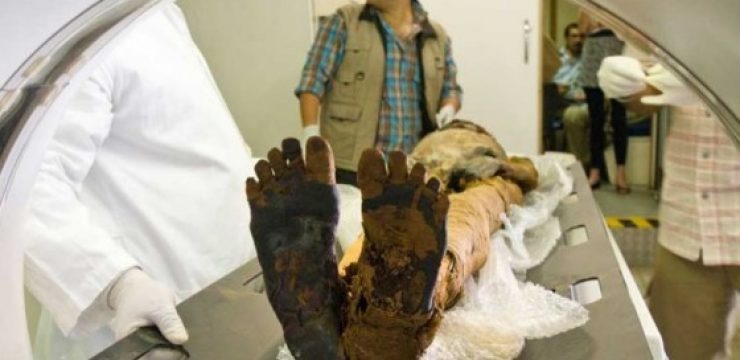 mummie-hard-arteries-egypt.jpg