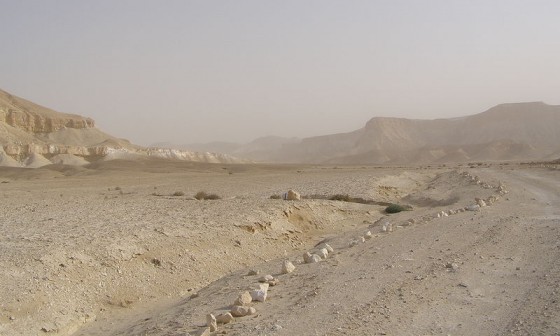 nahal zin valley, negev desert, dimona silica