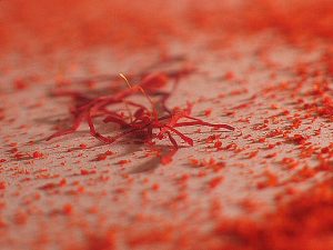 Saffron is world’s most expensive aphrodisiac
