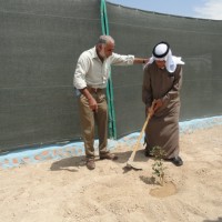 Village elder plants tree for Auja