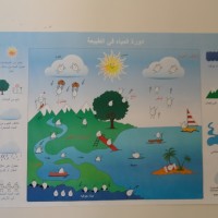 Water conservation in Arabic