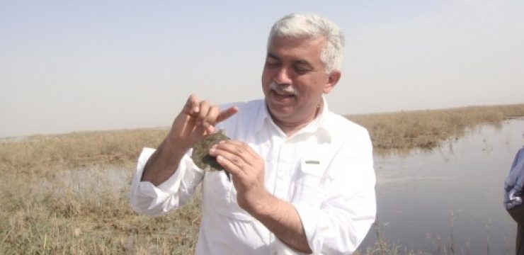 Dr.Azzam-with-BBC-team-in-central-Marshes-2-2.jpg