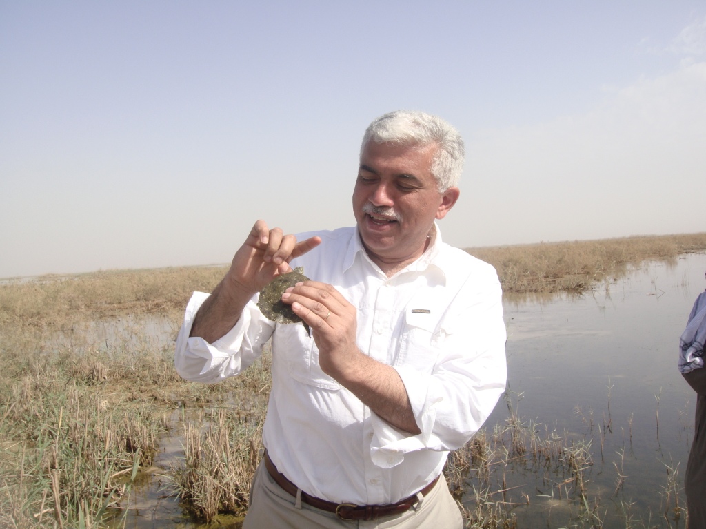 “The Garden of Eden Had Been Turned Into The Ashes of Hell”- Azzam Alwash On The Destruction Of The Marshlands of Iraq