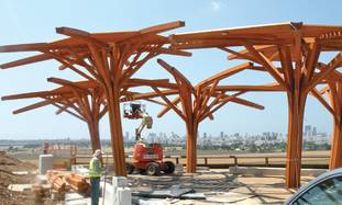 hiriya garbage park ariel sharon