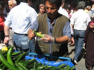 Killer Cucumbers Have Israelis Freaking Out