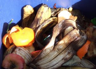 The New Untouchables: Egypt’s Leftover Food