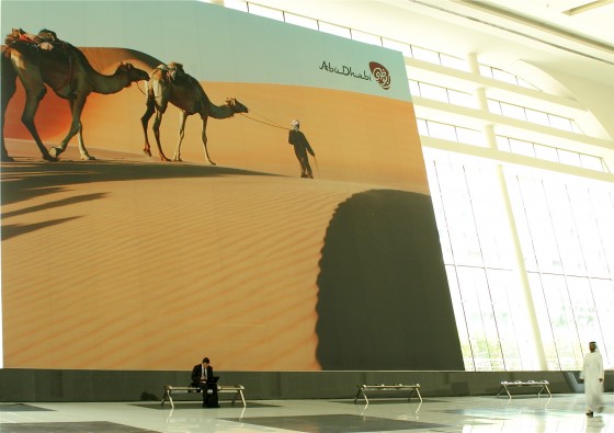 interiors uae, abu dhabi, camel, desert