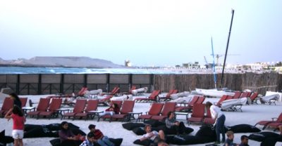 Hope Amidst Dubai’s Marine Destruction