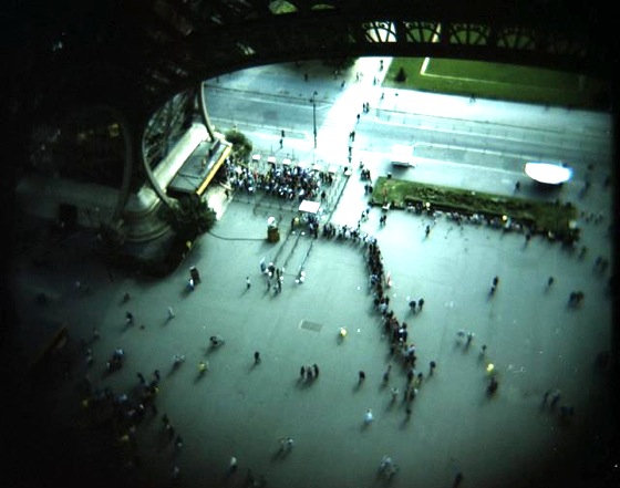 population growth, united nations, ants