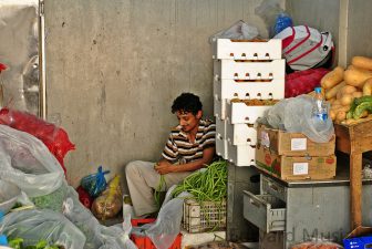 How Saudi Arabia Plans To Win The Food War