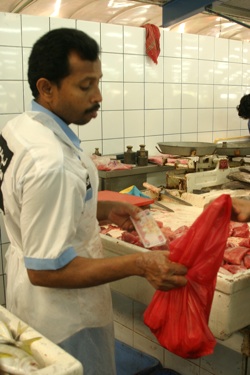 shark meat for sale shark fins for soup