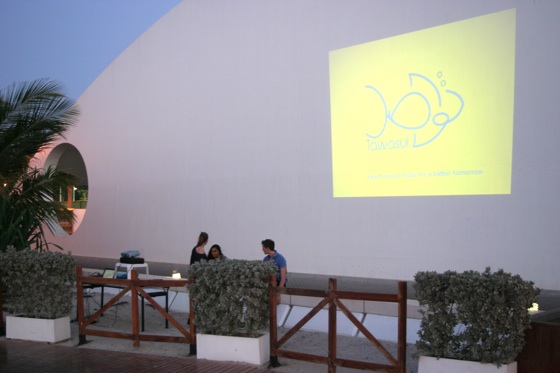 jumeirah beach, dubai, marine conservation, dugong, tawasul